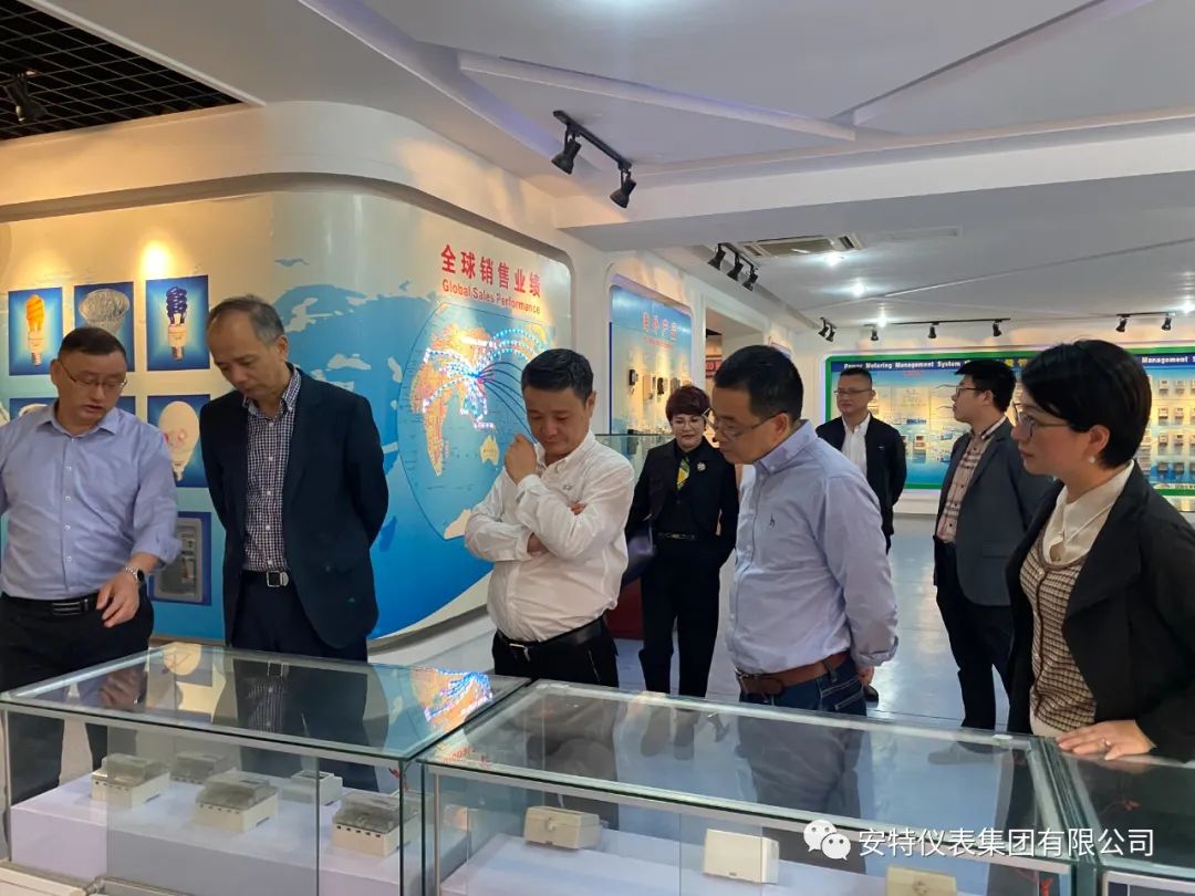 安特儀表集團有限公司 安特儀表集團有限公司
