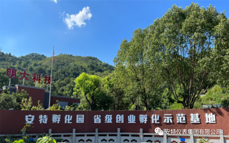 安特儀表集團有限公司 安特儀表集團有限公司