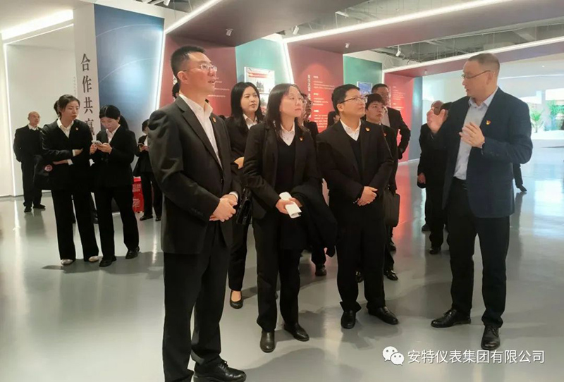 安特儀表集團有限公司 安特儀表集團有限公司