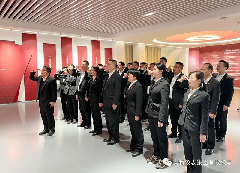 安特儀表集團有限公司 安特儀表集團有限公司