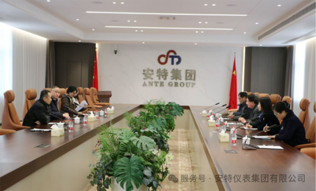 安特儀表集團有限公司 安特儀表集團有限公司