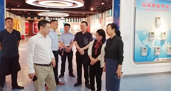 青田縣組織部長金誌紅調研安特園區黨總支