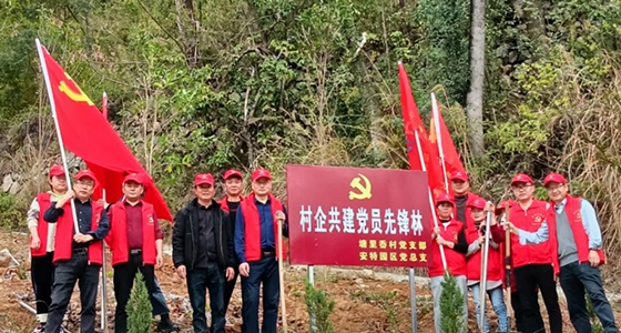 村企共建，共植先鋒林