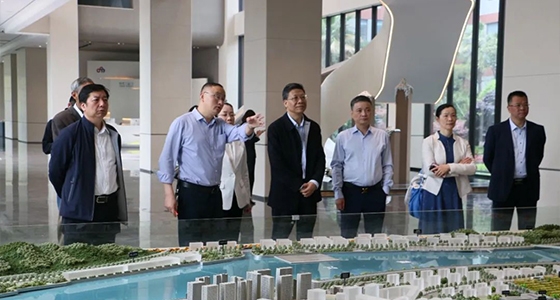 省人大常委會委員陳根芳調研安特集團