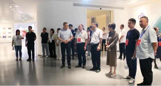 麗水市第五屆人大代表景寧中心組調研安特集團