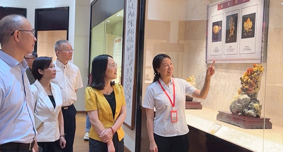 探索東方風采，安特·倪東方藝術博物館與時代脈搏共振